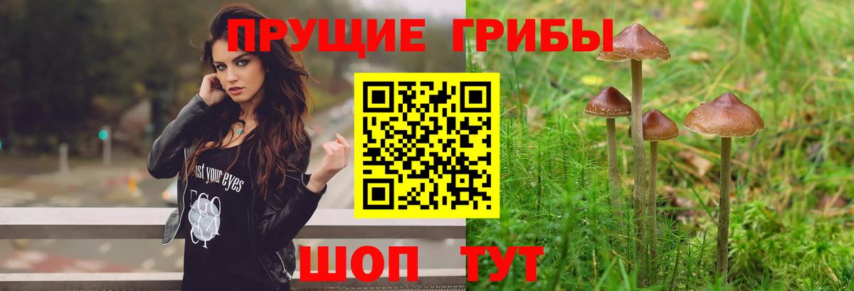 Галлюциногенные грибы ЛСД Белово